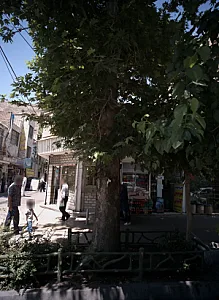 فروشگاه پروتئینی