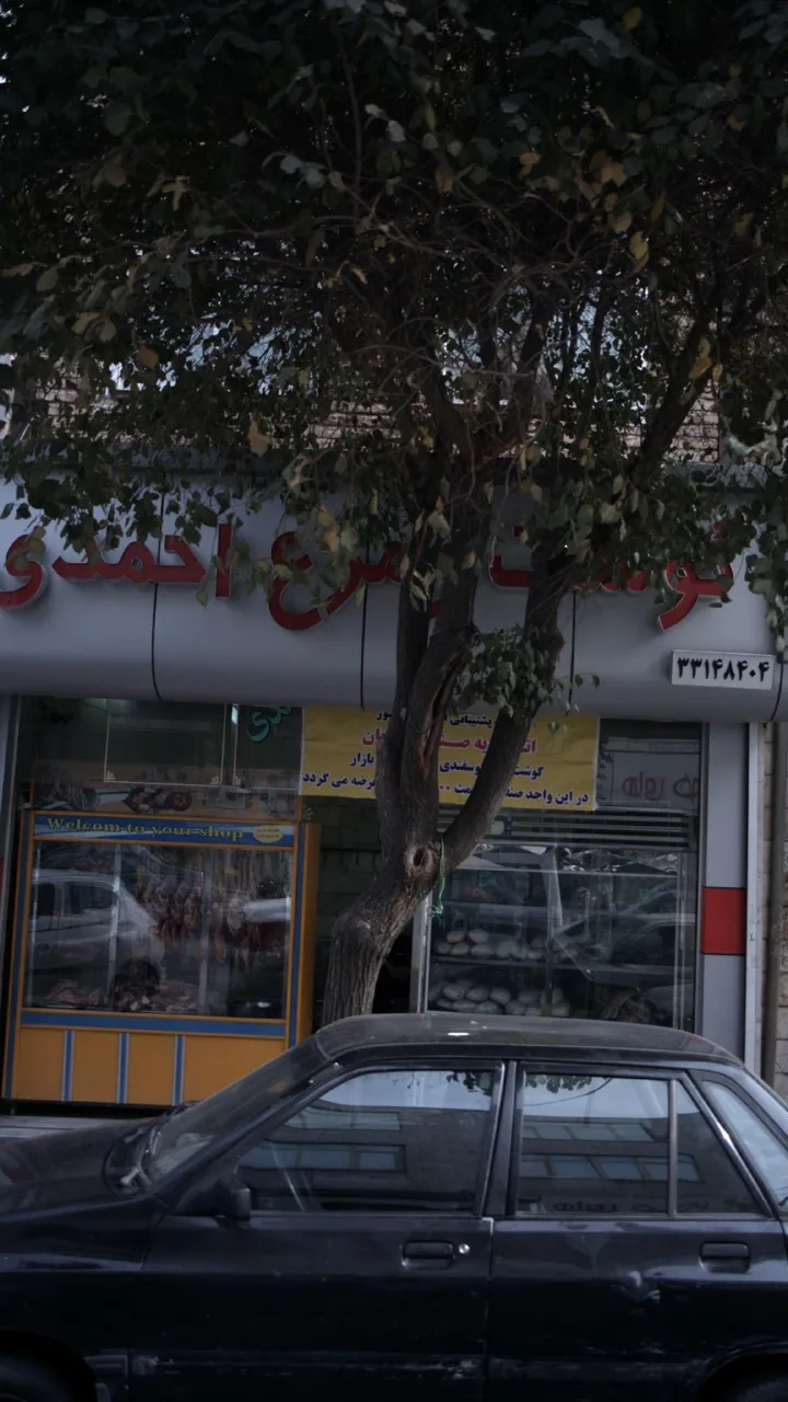 گوشت و مرغ احمدی