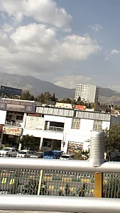 گوشت و مرغ و ماهی سلامت