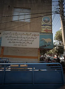 سوپر گوشت و مرغ برگ سبز