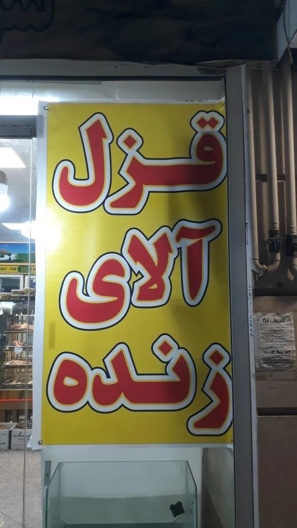 گوشت و مرغ زیبا - تصویر 5