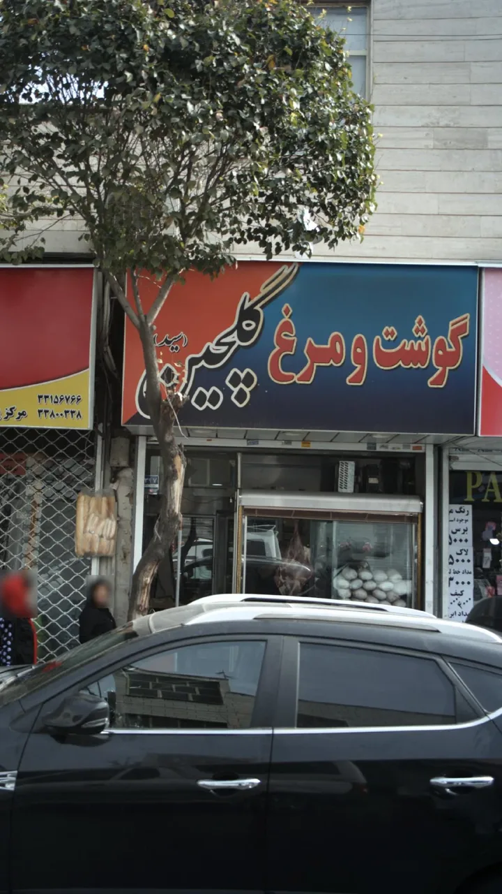 گوشت و مرغ گلچین (سید)