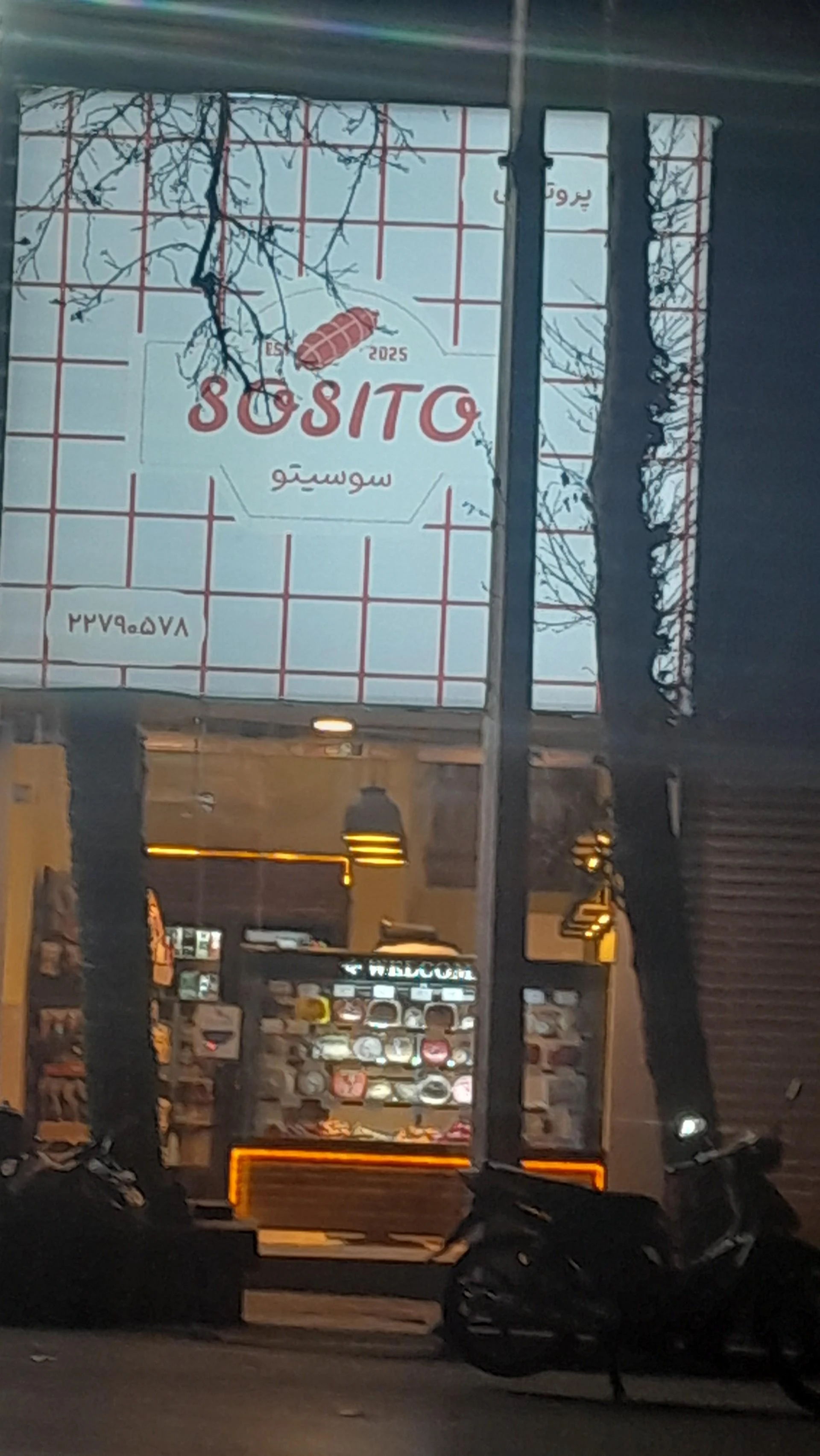سوپر پروتئین سلیمی - تصویر 2