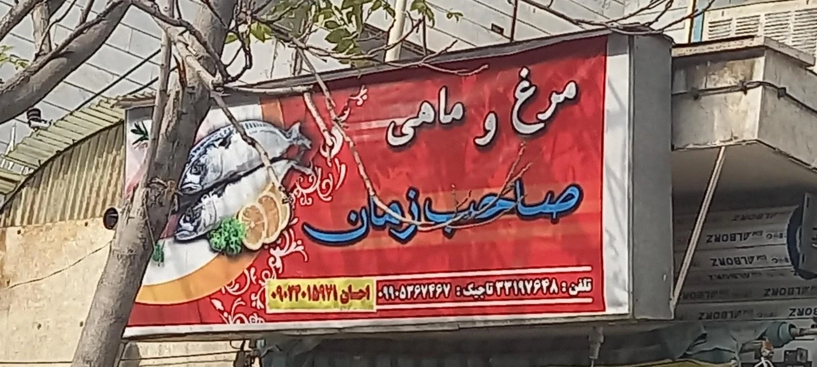 قصابی حاج احمد و یحیی مرغ میاچ - تصویر 3