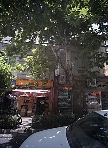 سوپر پروتئینی
