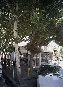 قصابی
