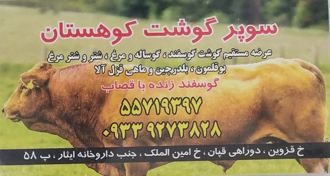 سوپر پروتئین کوهستان - تصویر 2