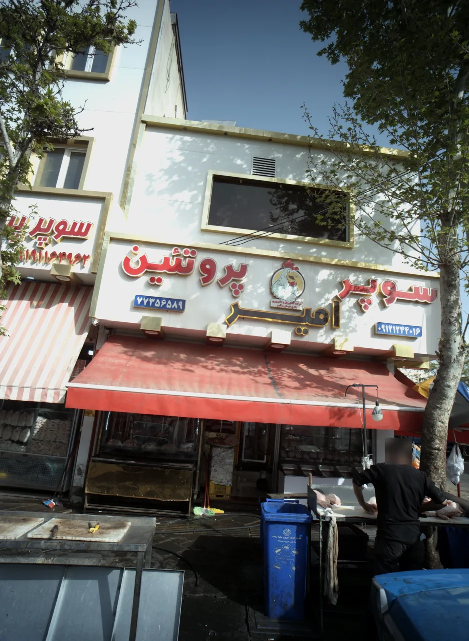 سوپر پروتئین امیر