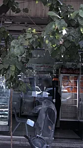 سوپر پروتئین روز