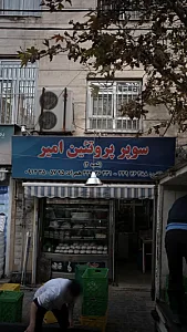 سوپر پروتئین امیر