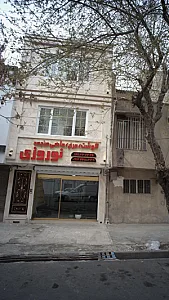 گوشت و مرغ و ماهی منجمد نوروزی