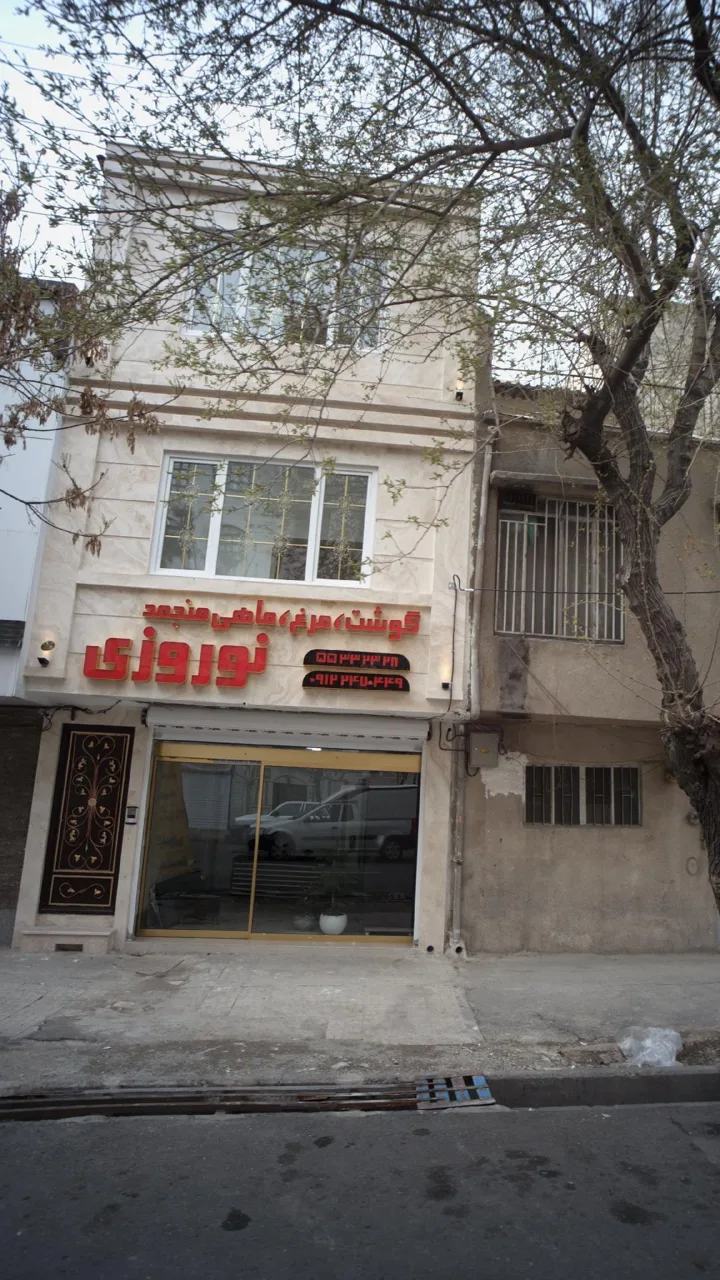گوشت و مرغ و ماهی منجمد نوروزی