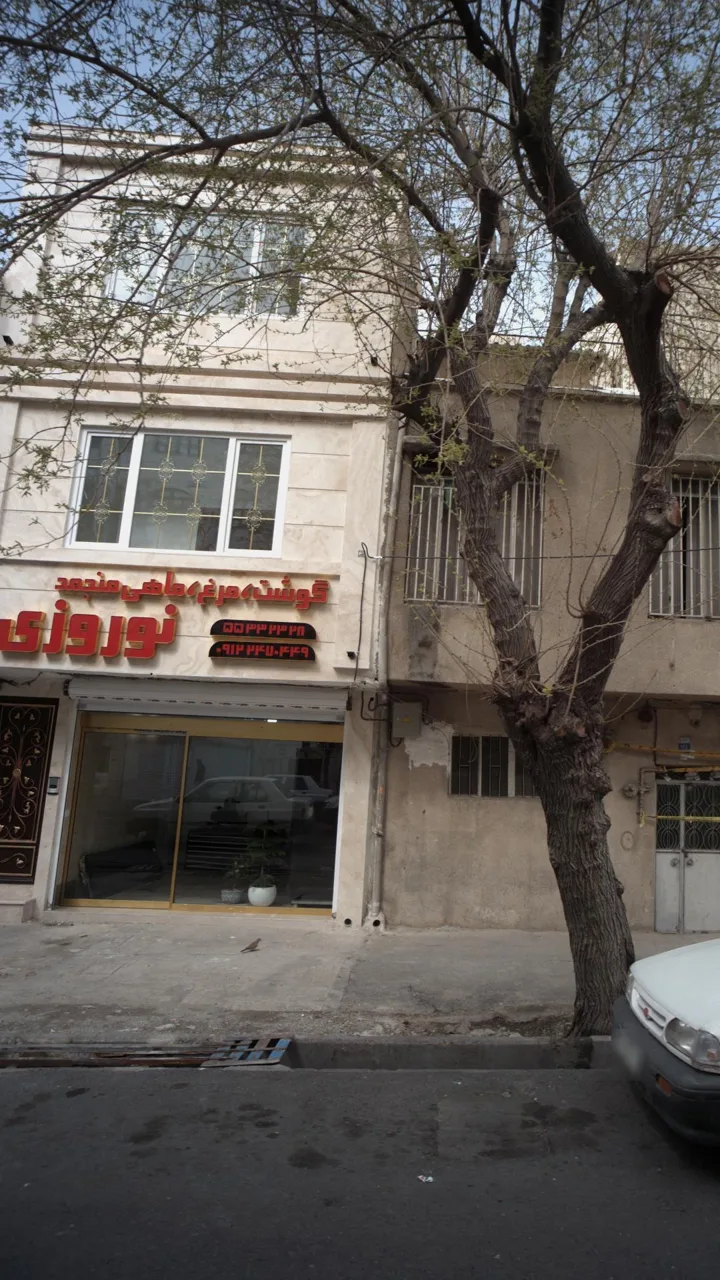گوشت و مرغ و ماهی منجمد نوروزی - تصویر 2