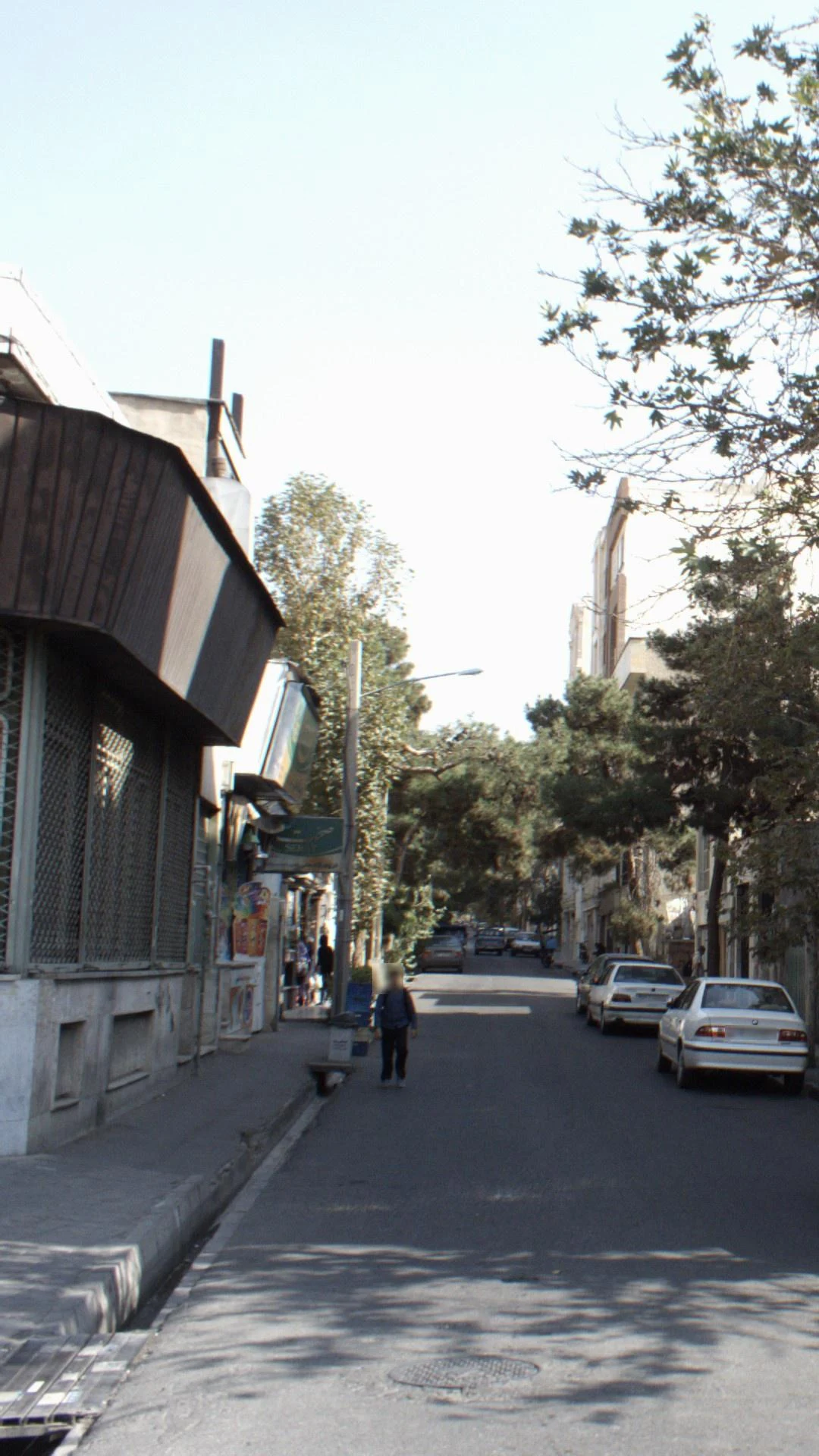 سوپر پروتئین رنگین‌کمان - تصویر 2
