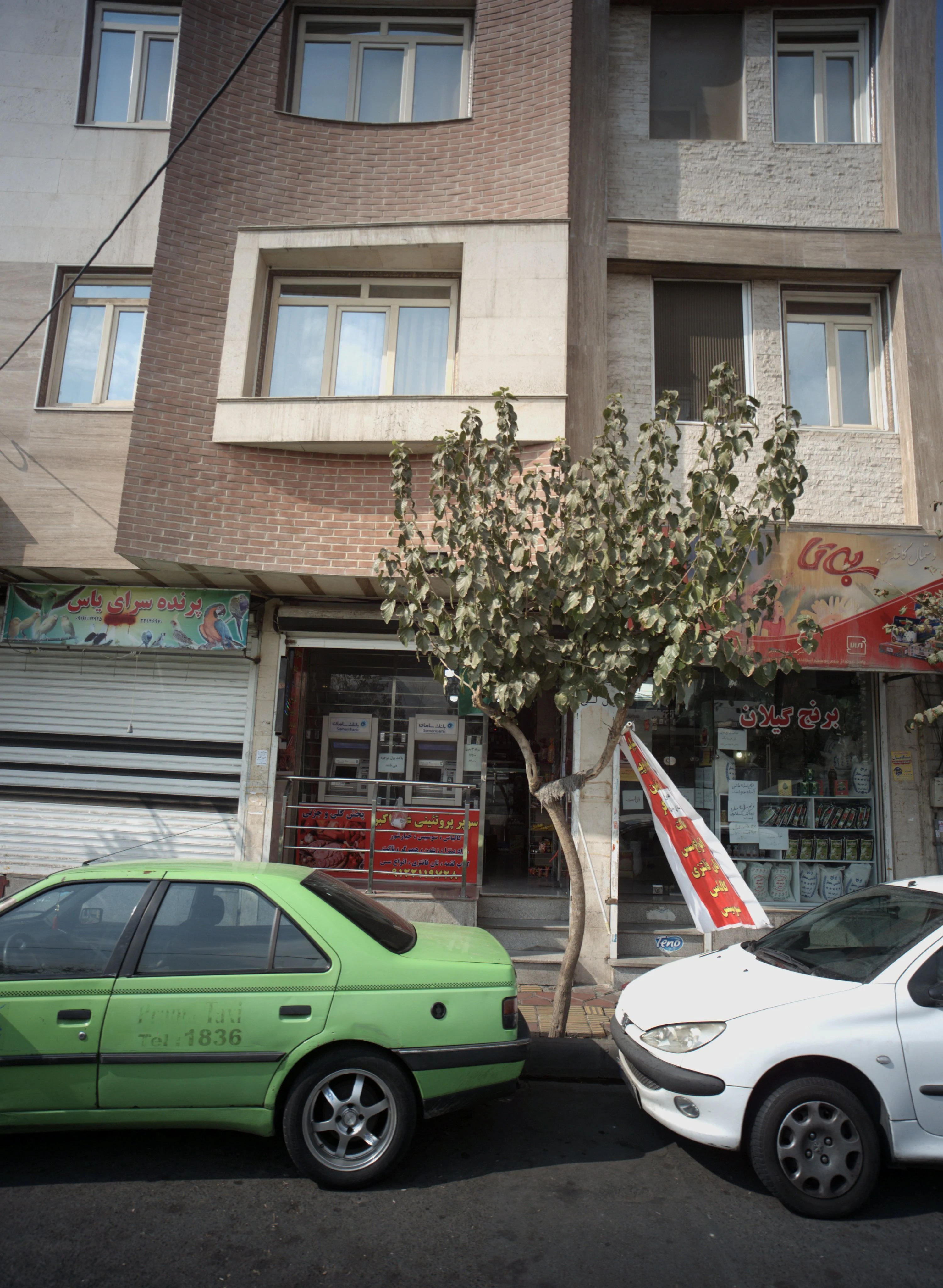 سوپر پروتئینی علی اکبر
