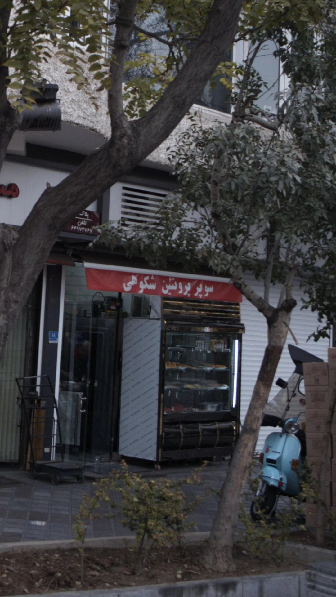 سوپر پروتئین شکوهی