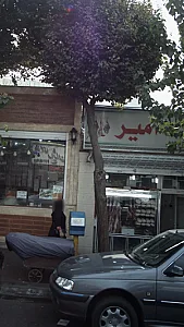 سوپر پروتئین امیر
