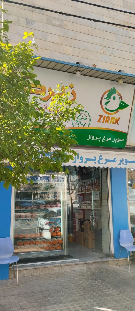 گوشت و مرغ پرواز