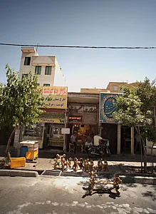 بازارچه گوشت و مرغ همشهری