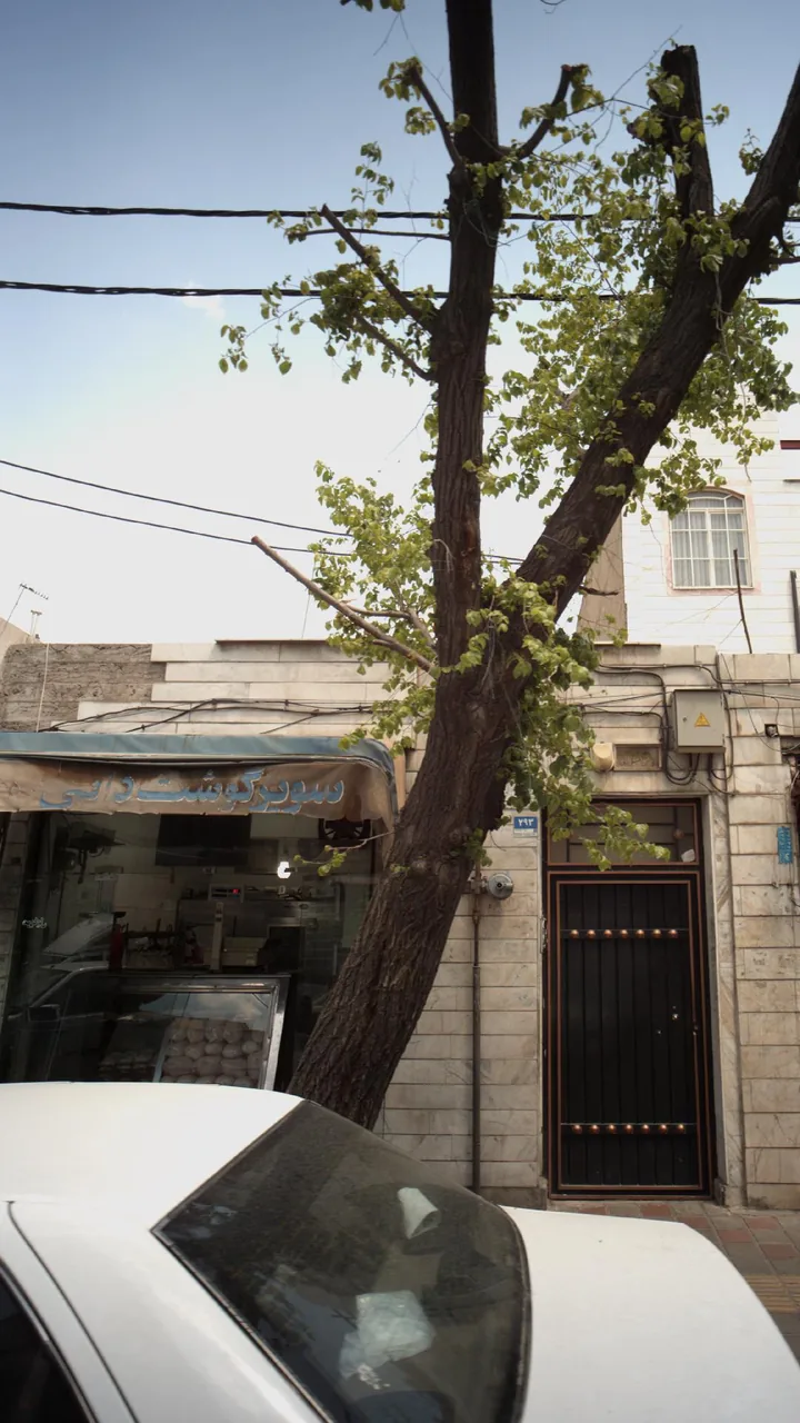 سوپر گوشت دائی