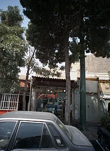 سوپر پروتئین
