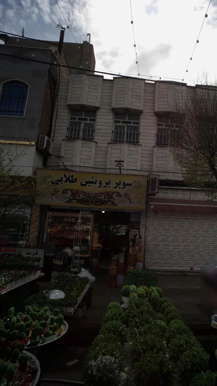 سوپر پروتئین طلائی