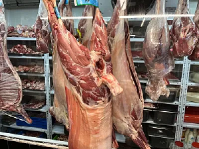 گوشت و مرغ نمونه