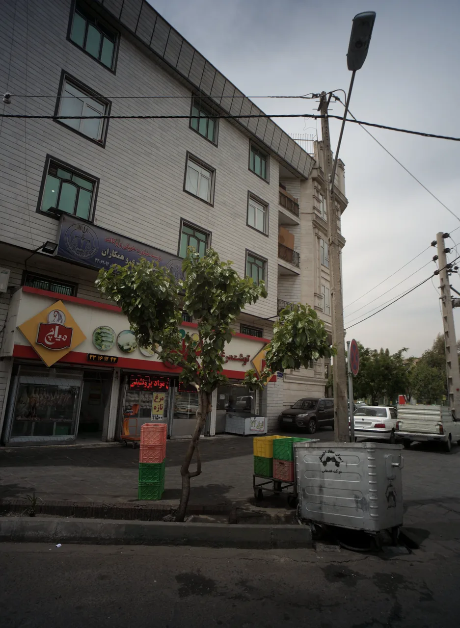 سوپر پروتئینی ترنج