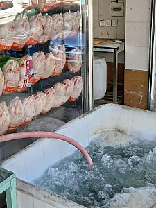 قصابی زیاران