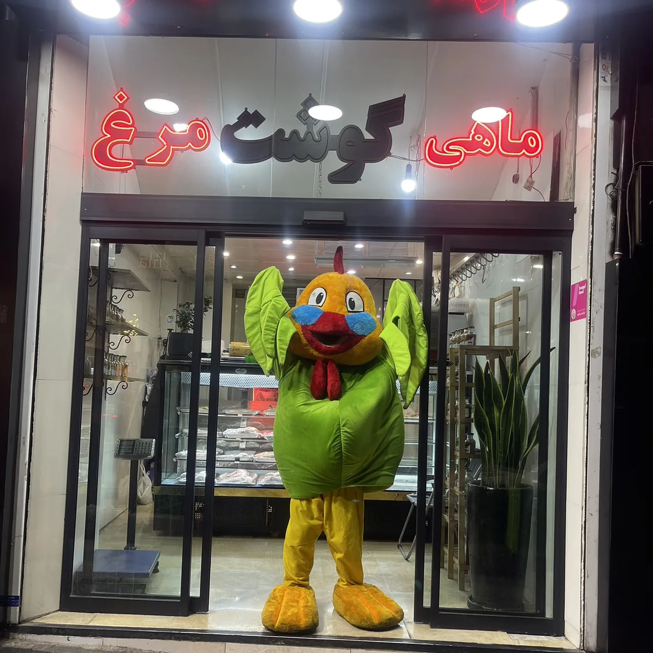 سوپر پروتئین نمونه شمیران - تصویر 3