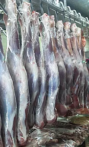 سوپر گوشت المهدی