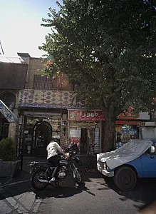 سوپر پروتئینی حافظ