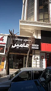سوپر پروتئین هامین