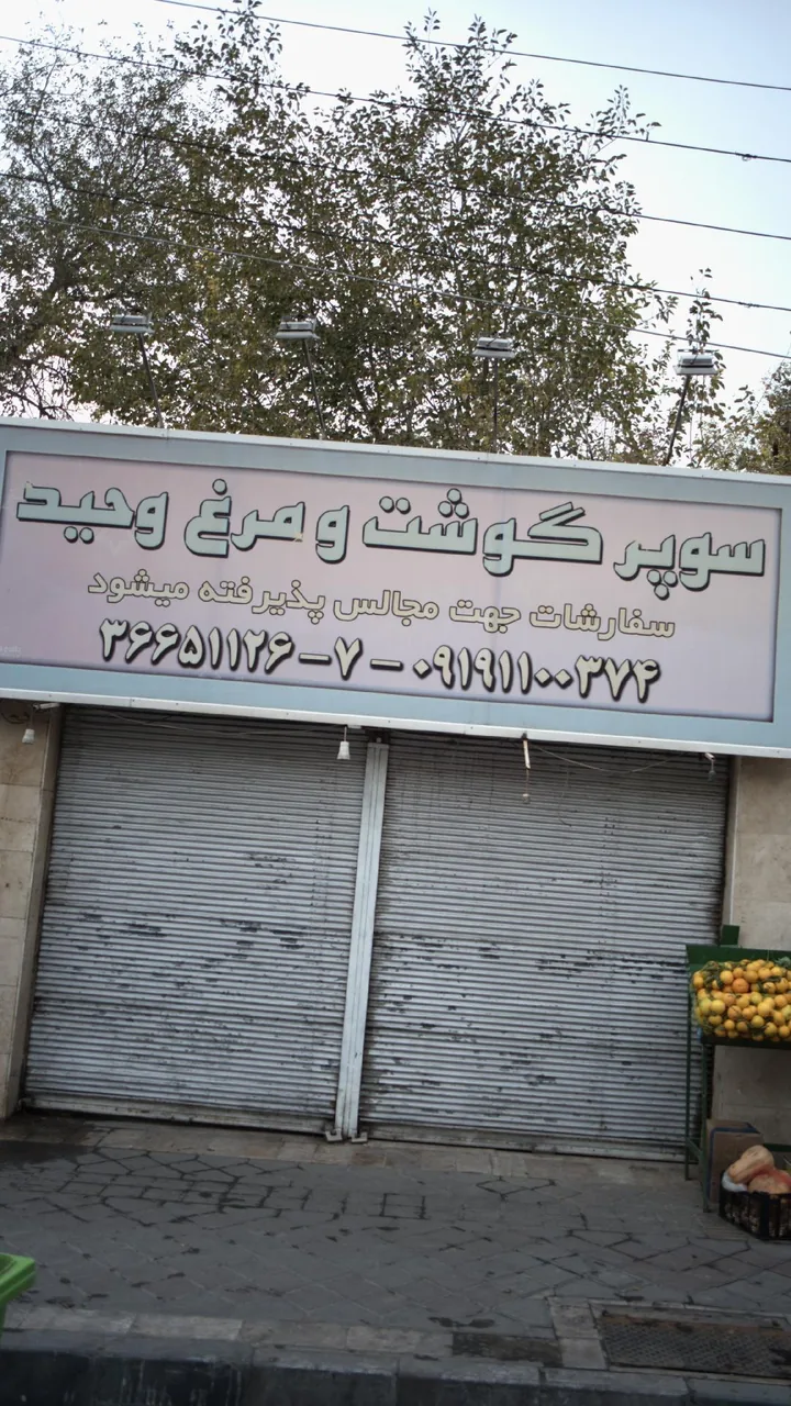 سوپر گوشت و مرغ وحید