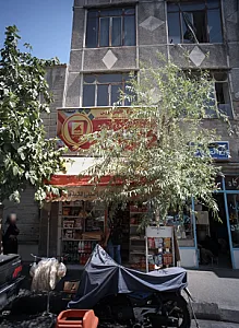 سوپر پروتئینی مجیدی