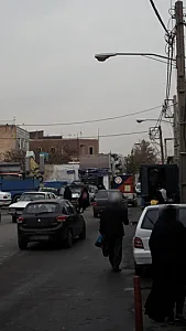 گوشت و مرغ زربال
