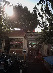 قصابی امیر