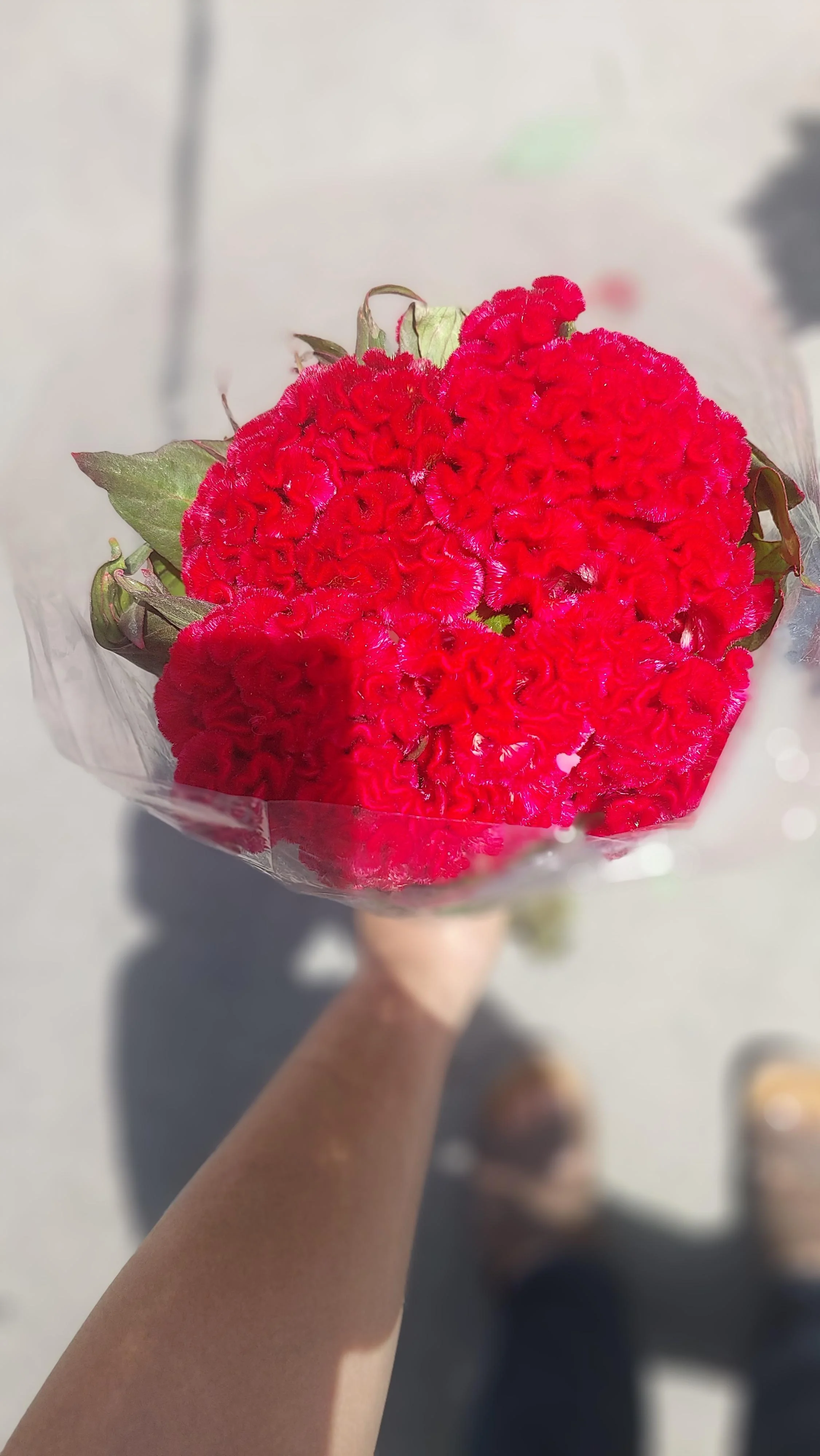 گل‌فروشی امام رضا وادی رحمت