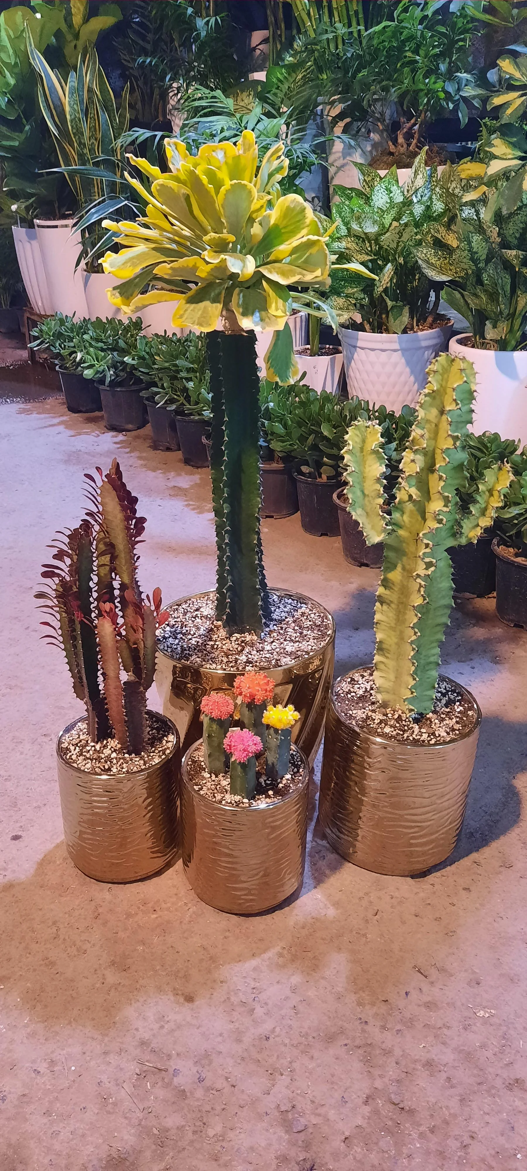 سوپر گل (لیل‌آباد)