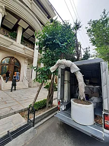 وانت بار لوکس