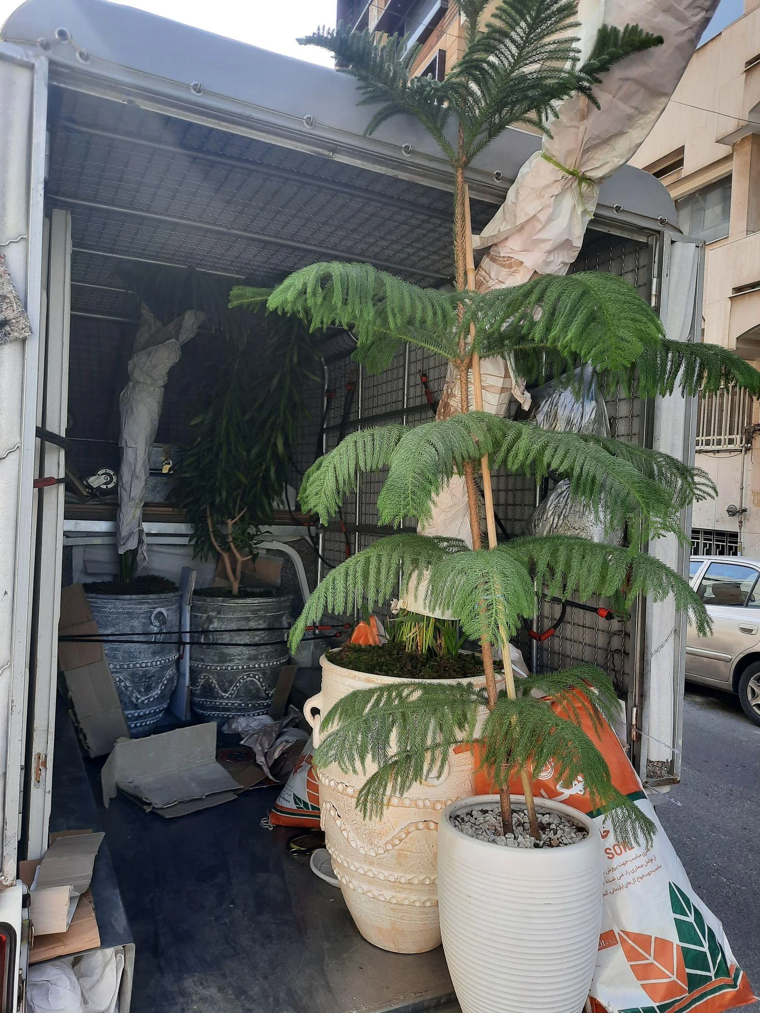 وانت بار لوکس - تصویر 2