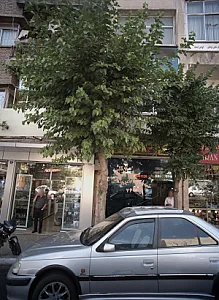 موسسه توریستی و اتومبیل کرایه