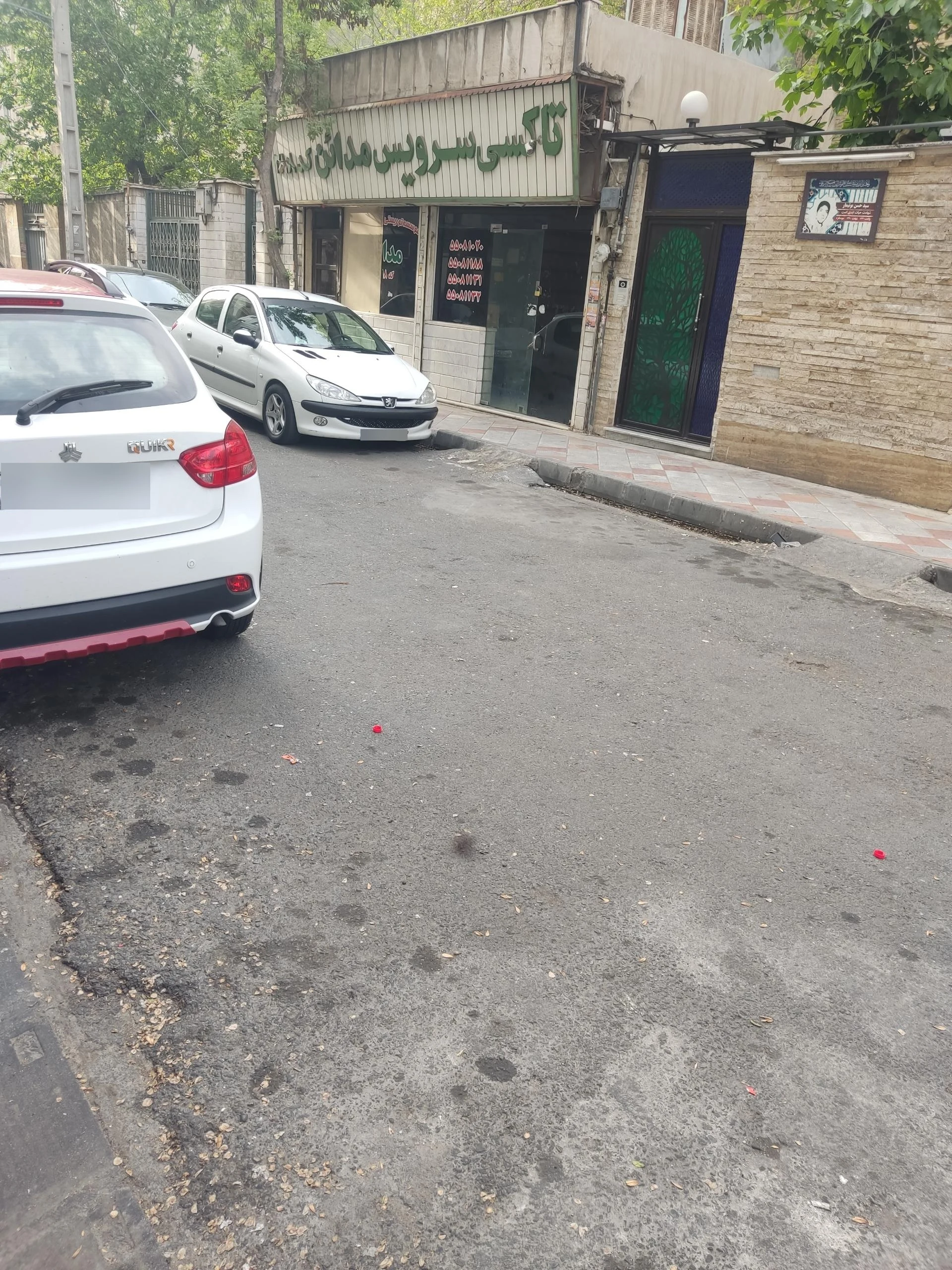 تاکسی سرویس سورتمه - تصویر 2