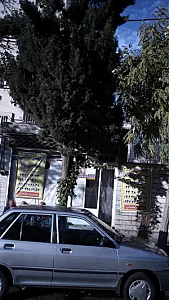 آژانس تاکسی تلفنی رز