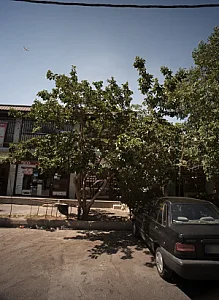 تاکسی سرویس شهرک قائم