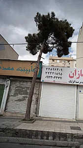 کابینت مهدی
