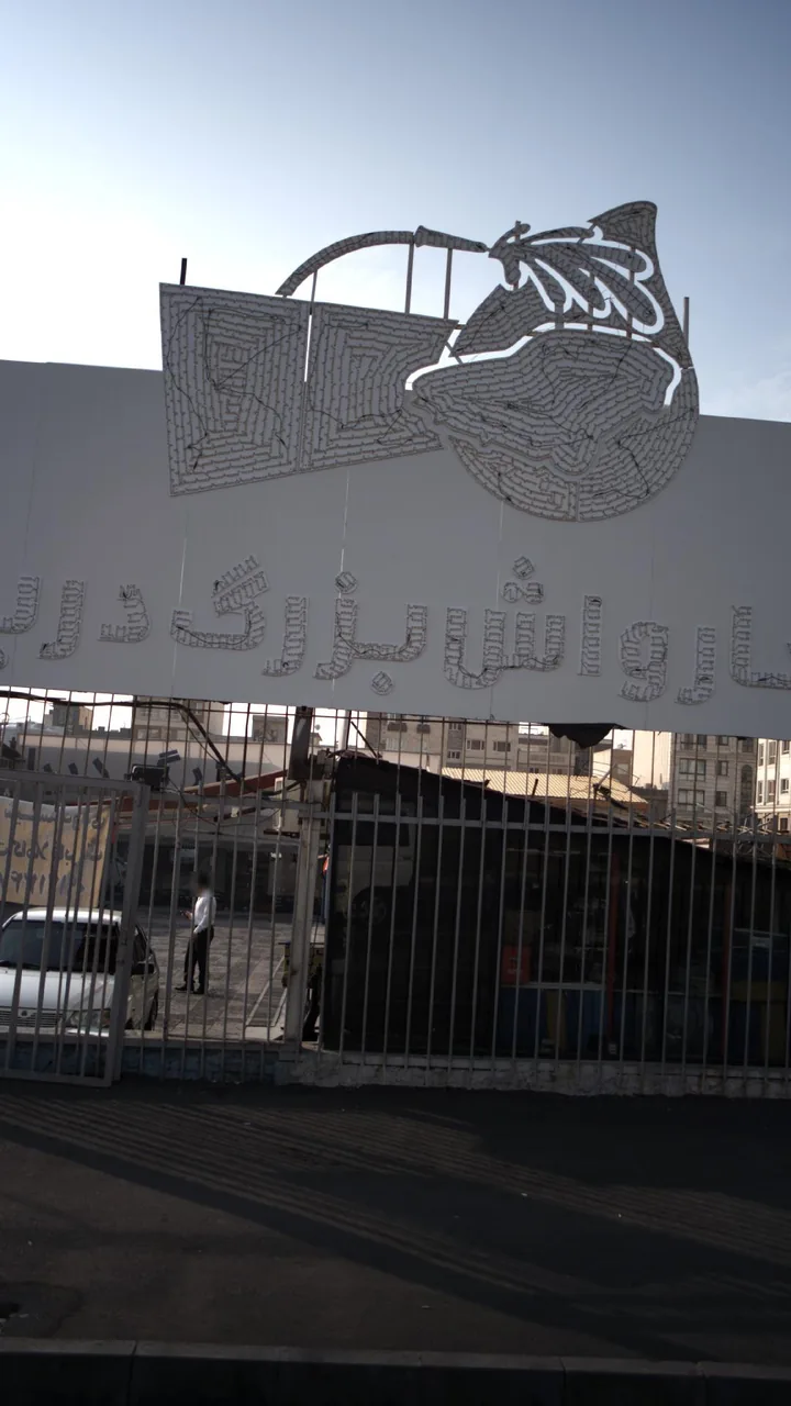 کارواش بزرگ دریا - تصویر 2