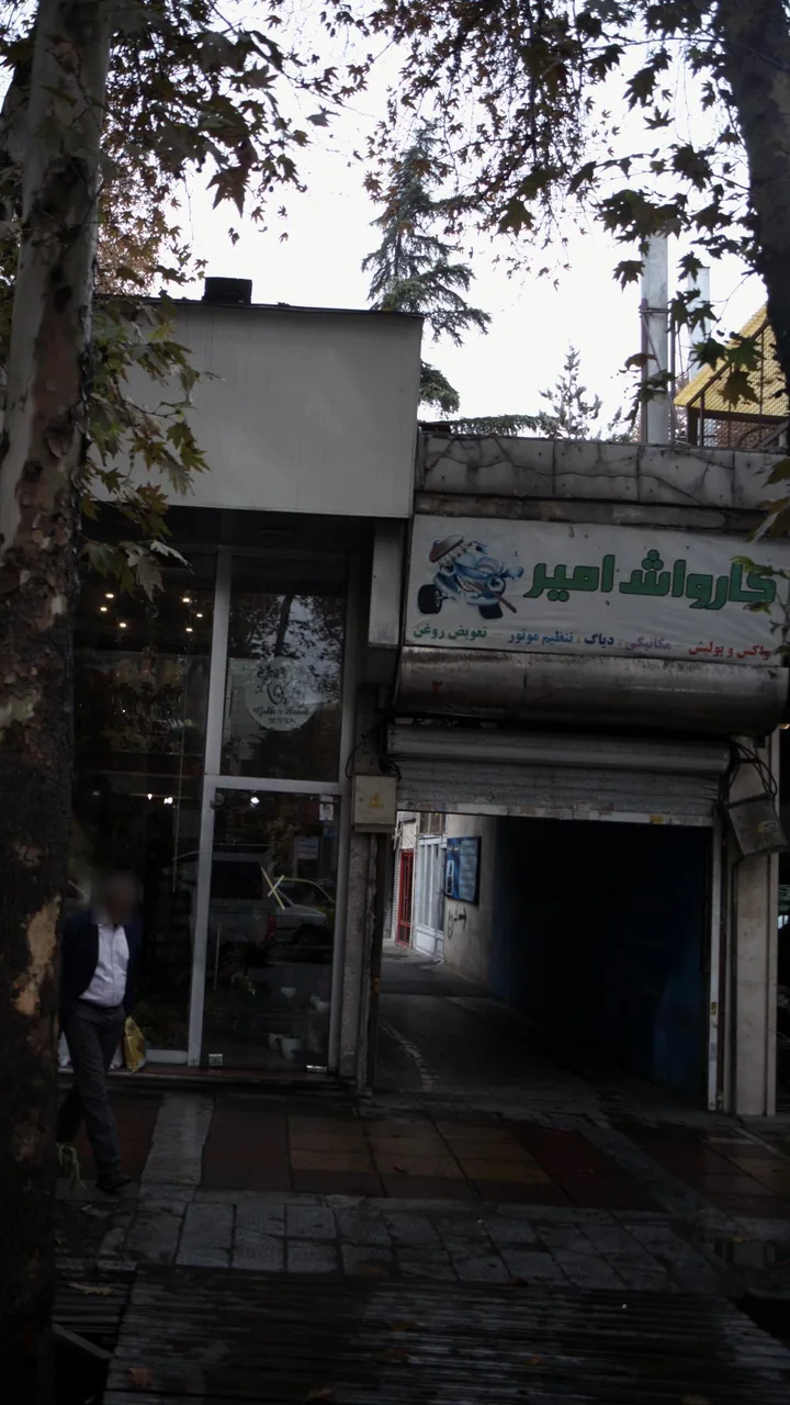 کارواش امیر