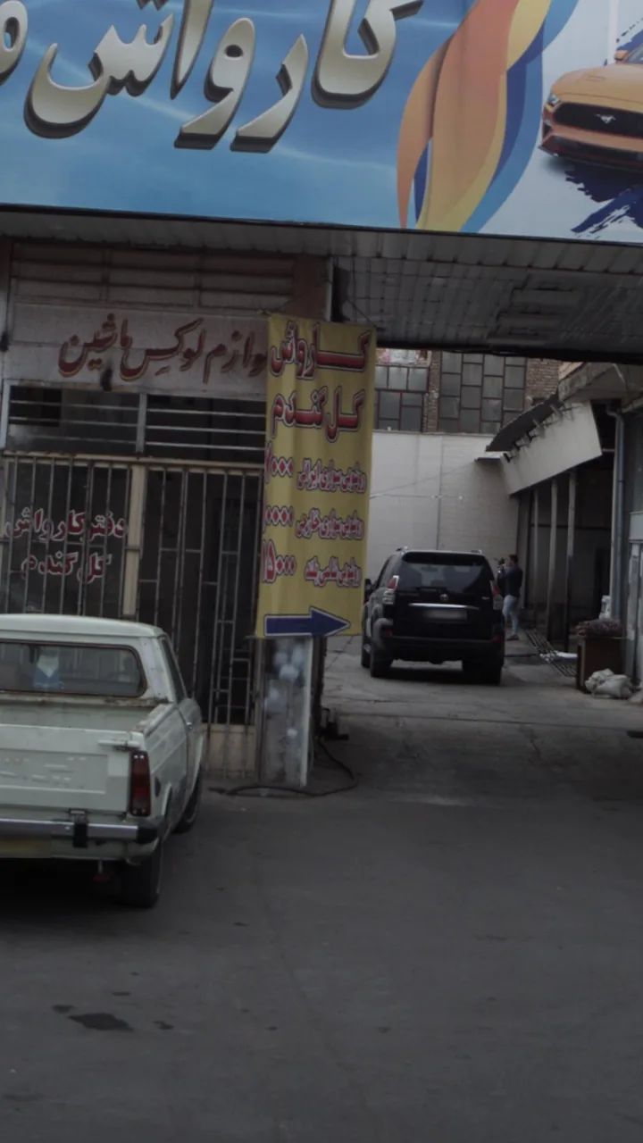 کارواش گل گندم - تصویر 2