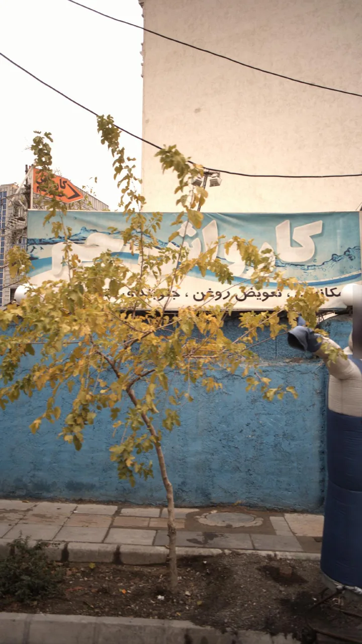 کارواش جم - تصویر 3
